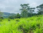 Lands for sale in Pussellawa