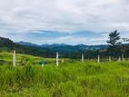 Lands for sale in Pussellawa