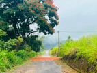 Lands for sale in Pussellawa