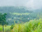 Lands for sale in Pussellawa
