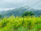 Lands for sale in pussellawa