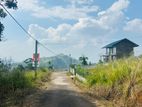 Lands for sale in Pussellawa