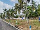 Lands for Sale in Raddholugama