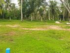 Lands For Sale In Sapugaskand Gunasekara Mawatha