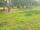 Lands for Sale in Seeduwa Raddholugama