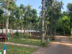 Lands for Sale in Sinharagama