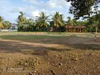 Lands for Sale in Tangalle - The Hive Residence