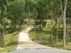 Lands for sale in Thannekumbura