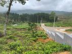 Lands for sale in Upper glenloch_Ramboda