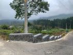 Lands for sale In Upper Glenloch, Ramboda
