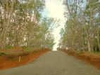 Lands For Sale In Weligama