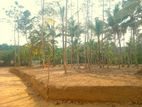 Lands for Sale in Weligama