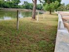 Lands for sale nawala