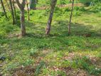 Lands for sale near Habaraduwa
