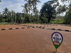 Lands for Sale Panadura R03