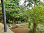 Lands for Sale. with House,in Hanthana Kandy