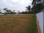 Lands for sell in Palawatta P29