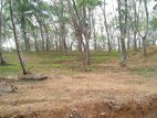 Lands in Ahangama
