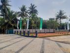 Lands next to Galle Road for Sale in Wadduwa, Thalpitiya R03