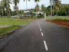 Lands Plots for sale in Labeema
