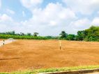 Lands Sale in Madurawala