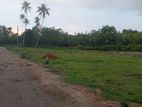 lands sale in weligama tourism area