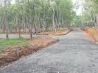 Lands Sale Near Ahangama