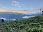 Lands sfor sale in Pundaluoya