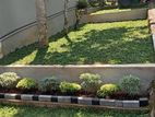 Landscape Designing