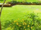 Landscaping and Garden Services