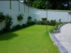landscaping and garden services