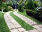 Landscaping and Maintenance Garden Services
