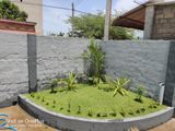 Landscaping Australian grass Jaffna