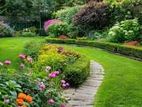 Landscaping Service