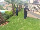 Landscaping Garden Service - Galle