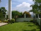 Landscaping Grass