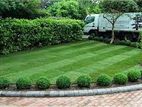 Landscaping Service - Horana