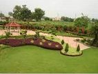 Landscaping Service - Ragama