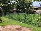 Lanf for sale (blf76) Ratmalana