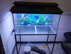 Large 3ft Fish Tank with Accessories