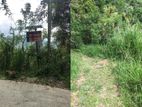 Large Agricultural Land for Sale in Kegalle Area