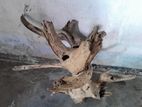 Large Aquarium Drift Wood