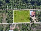 Large Bare Land for Commercial or Residential Use