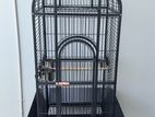 Large Bird Cage