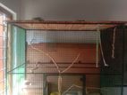 Large bird cage