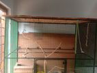 large Bird cage