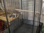 Large Bird Cages