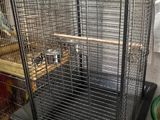 Large Bird Cages