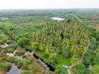 Large Coconut Land for Sale in Wattala