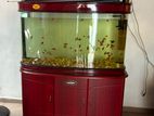 Large Fish Tank